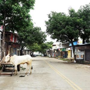 e-Khata stalled; over 2,000 Bandipalya APMC traders hit
