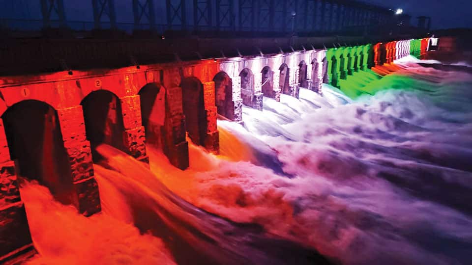 Colourful lights attract visitors to KRS Dam
