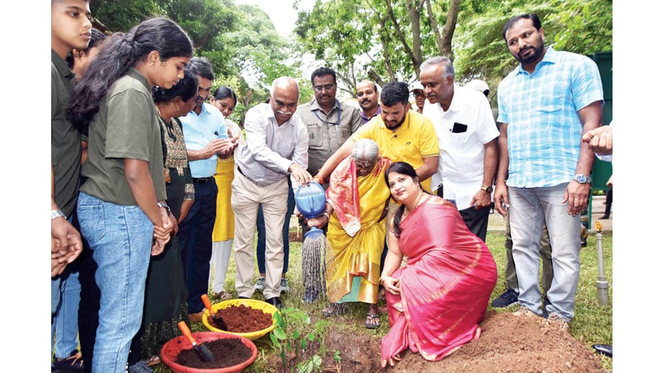 Do not chop trees, help them grow: Saalumarada Thimmakka