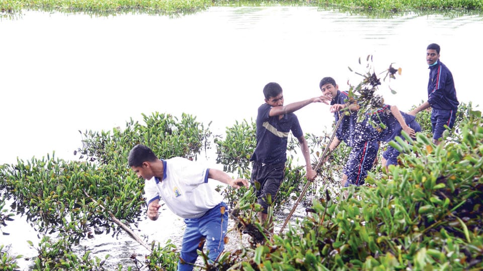 City NSS volunteers utilise free time to clean Kukkarahalli Lake