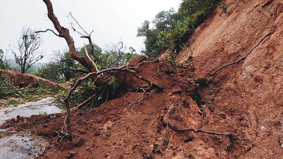 Landslides, quakes in Kodagu: PIL questions State inaction