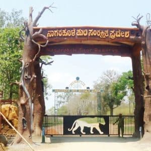 Human-wildlife conflict: Rs. 11.65 crore rail barricade plan for Nagarahole forests