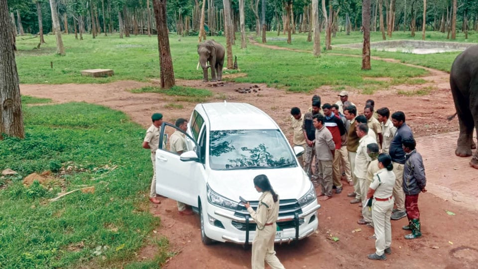 Operation to capture rogue elephants: Mathigod Elephant Camp Mahouts refuse to participate till demands are met