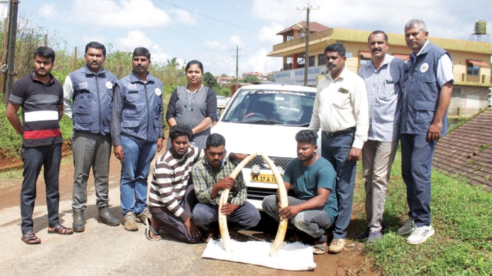 Five wildlife smugglers arrested in Madikeri