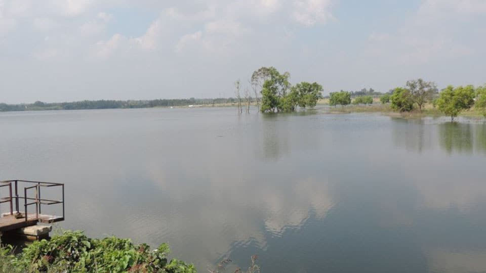 Save Dalvoy Lake from deterioration & destruction