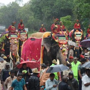 Dasara elephants, mahouts insured for Rs. 1.65 crore