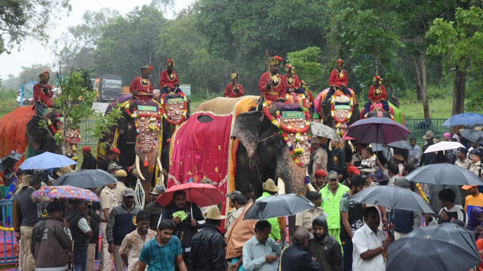 Dasara elephants, mahouts insured for Rs. 1.65 crore