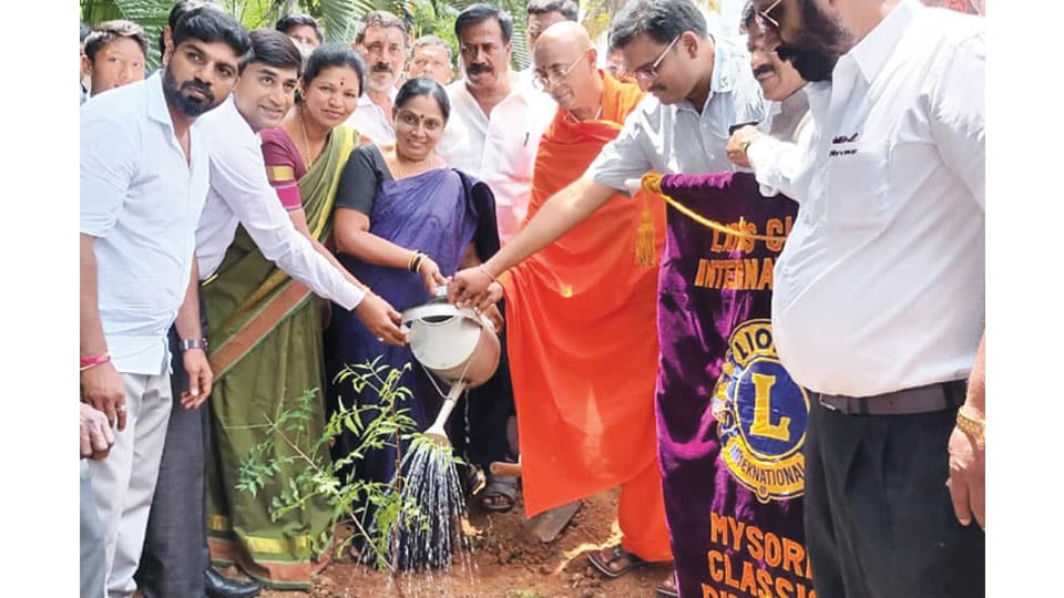 ‘Sasyaradhana’ month-long sapling planting campaign launched