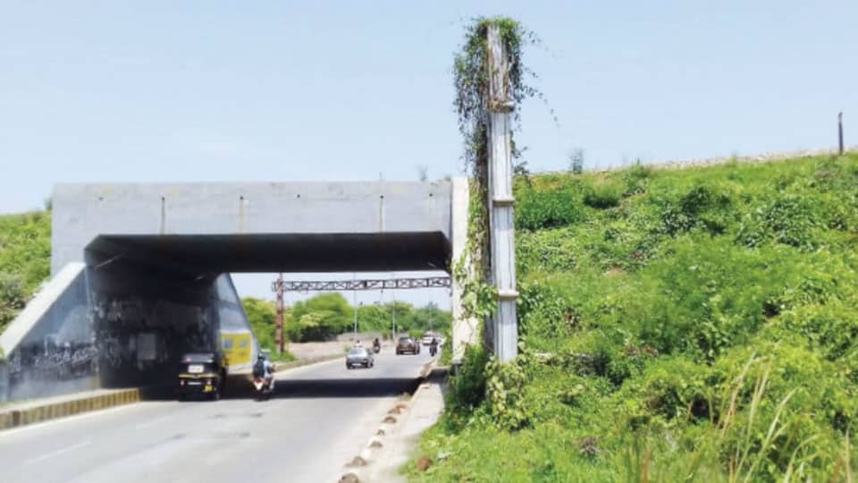 Two-lane Underpass primary necessity on Ring Road