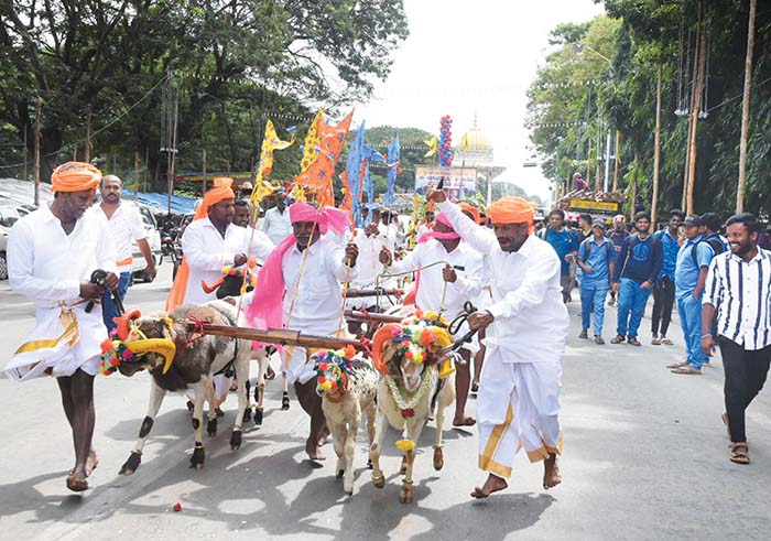 Bullock carts procession kickstarts Raitha Dasara
