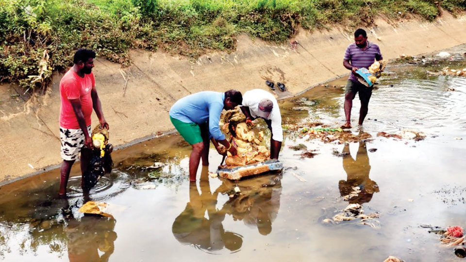 CNNL workers remove Ganesha idols from canals