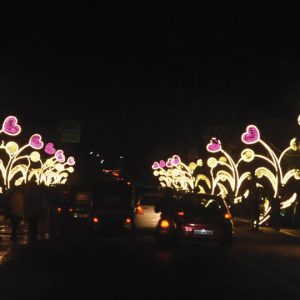 Now, walk and enjoy Dasara illumination: 'No Vehicle Zone' around Palace from 9 pm to 11 pm till Oct. 4