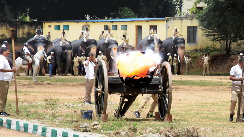 Second round of cannon firing drill held successfully