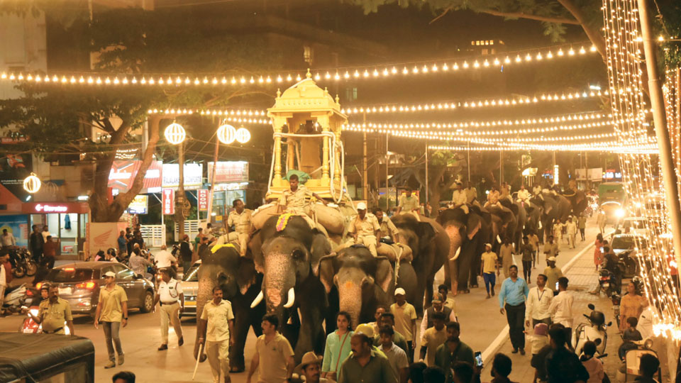Crowds cheer as Dasara elephants march on illuminated streets
