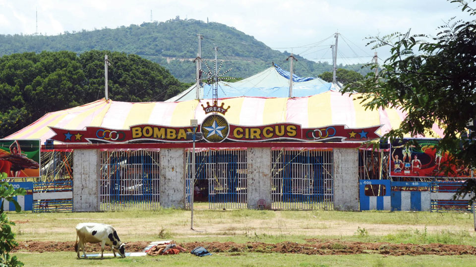 Great Bombay Circus from tomorrow