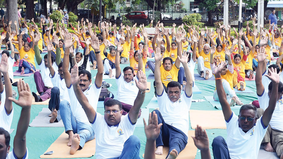 Over 300 take part in Yoga Vahini