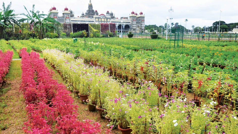 Floral replica of Red Fort at Palace this Dasara