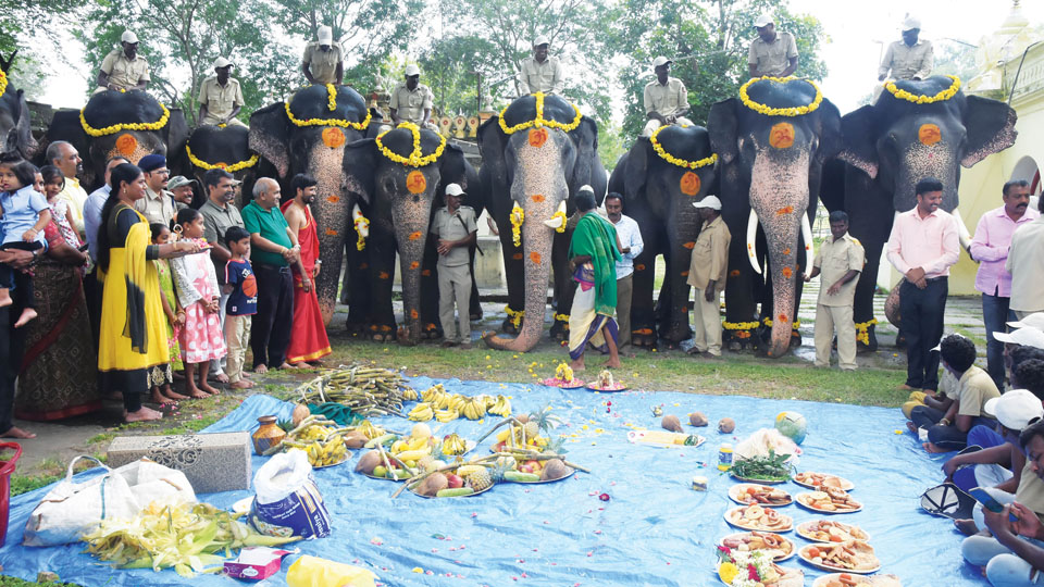 Special puja to Dasara jumbos marks Ganesha Chaturthi at Palace