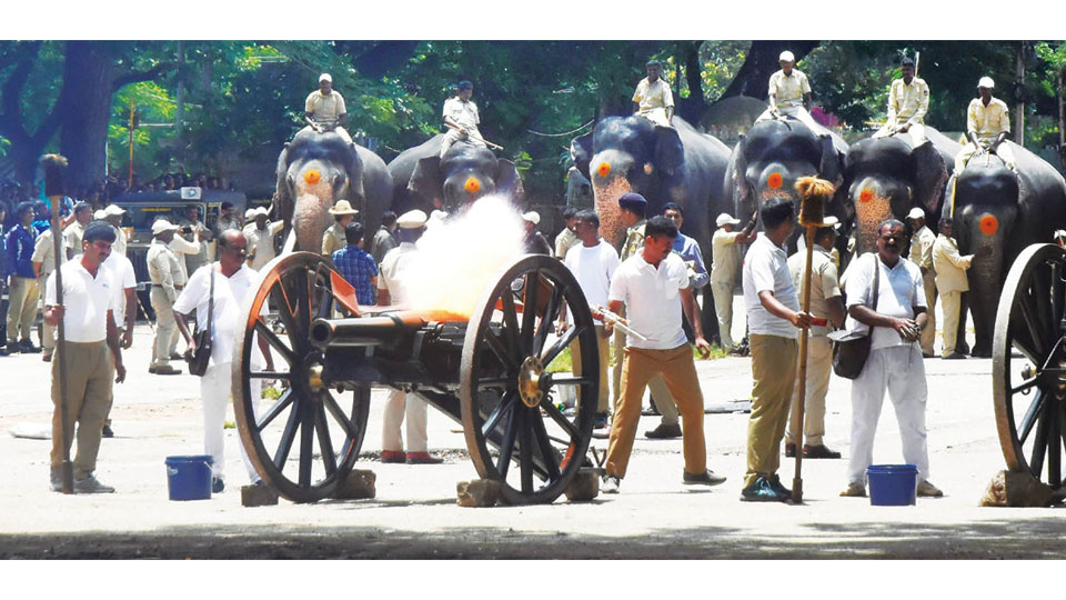 First round of cannon firing  exercise for Dasara Jumbos