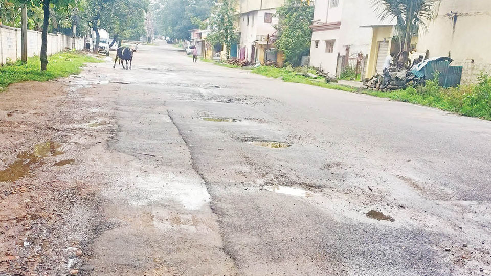 Plea to provide proper roads