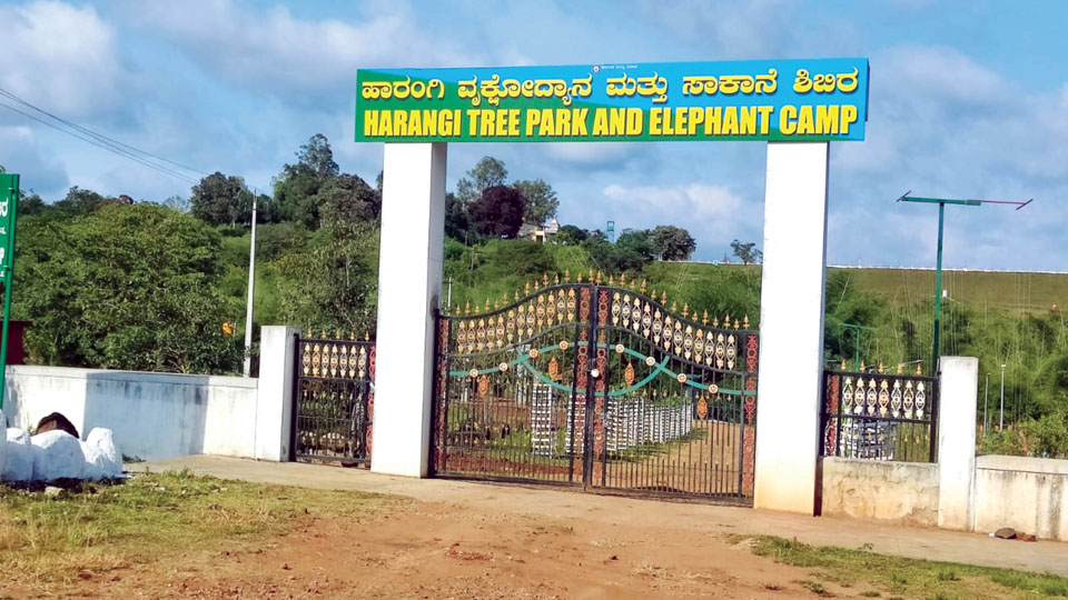 Kodagu gets third elephant camp at picturesque Harangi