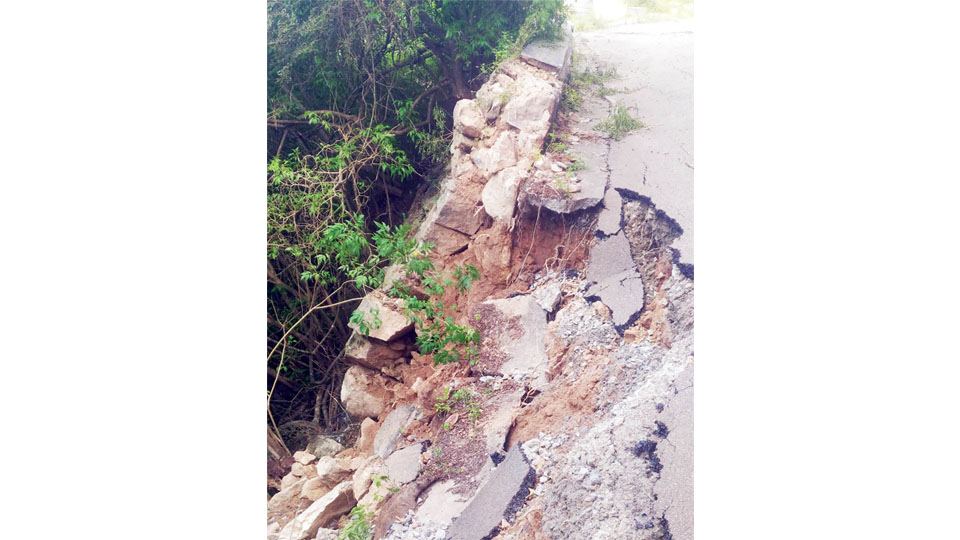 Some causes for landslides atop Chamundi Hill
