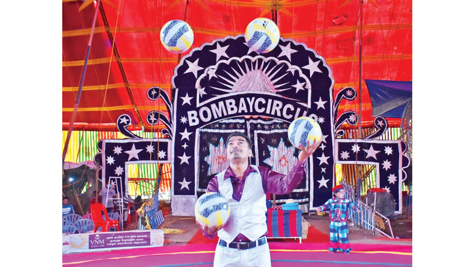 Great Bombay Circus offers concessional rates for school children from tomorrow
