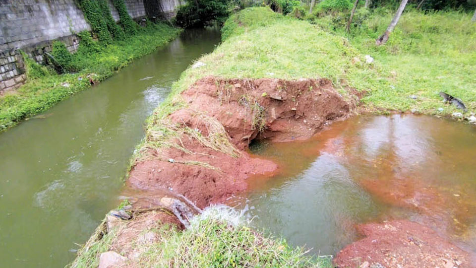 Agricultural fields inundated as Hebbal Lake canal breaches