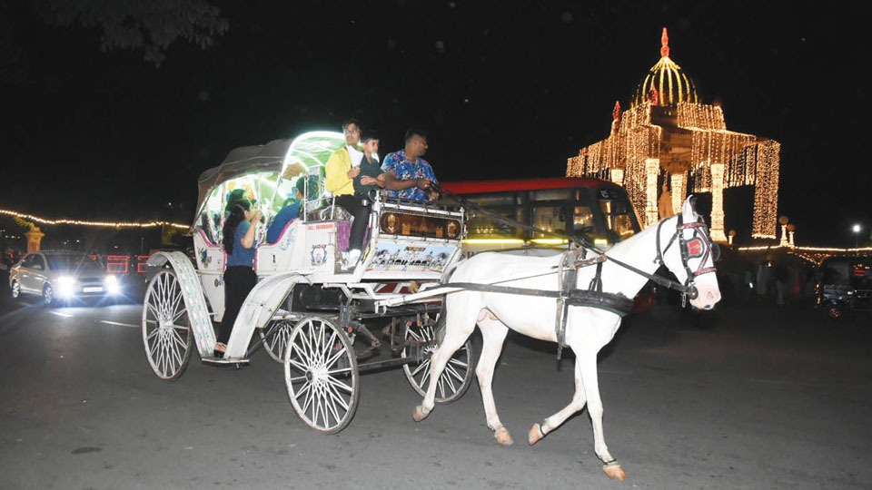 Tourists extend stay, enjoy ride in horse-drawn carriages