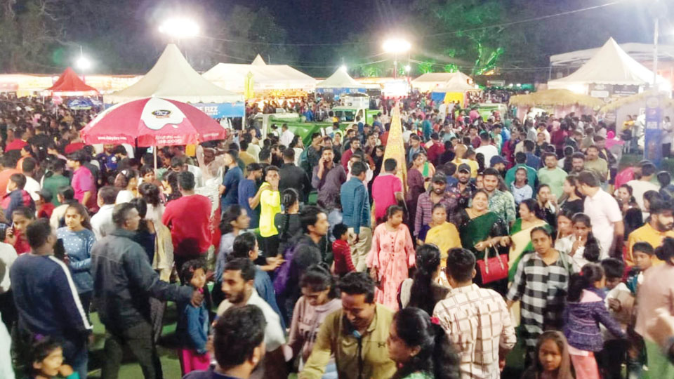 Foodies patronise Dasara Food Festival in droves