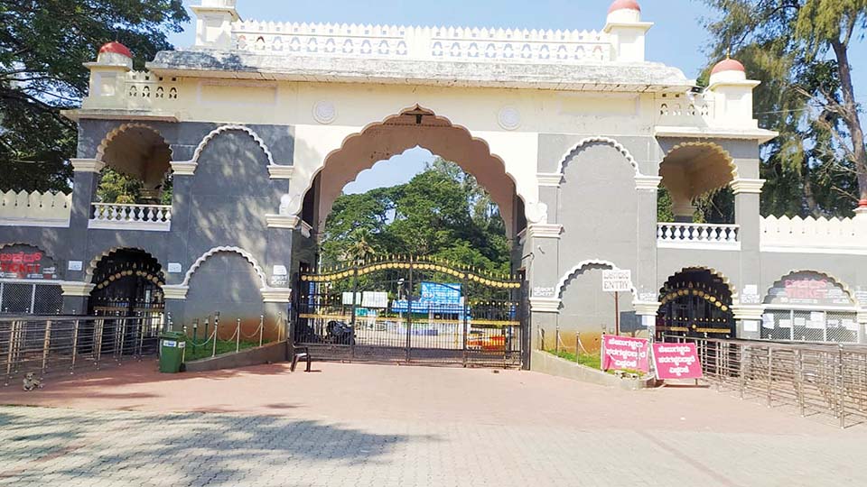Brindavan Gardens open for tourists after brief closure