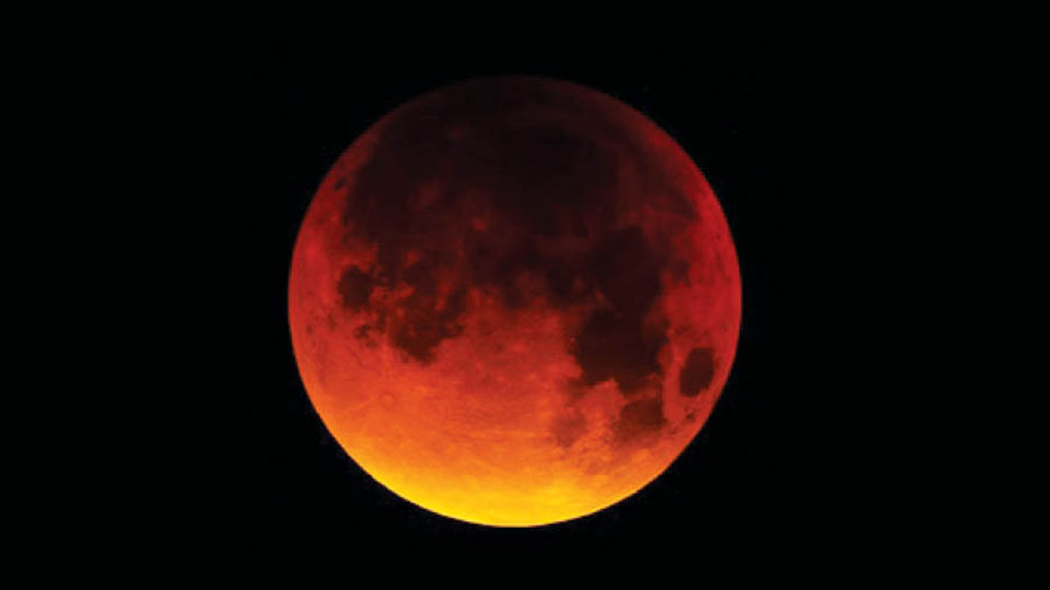 Beaver Bloodmoon Lunar Eclipse on Nov. 8 Star of Mysore