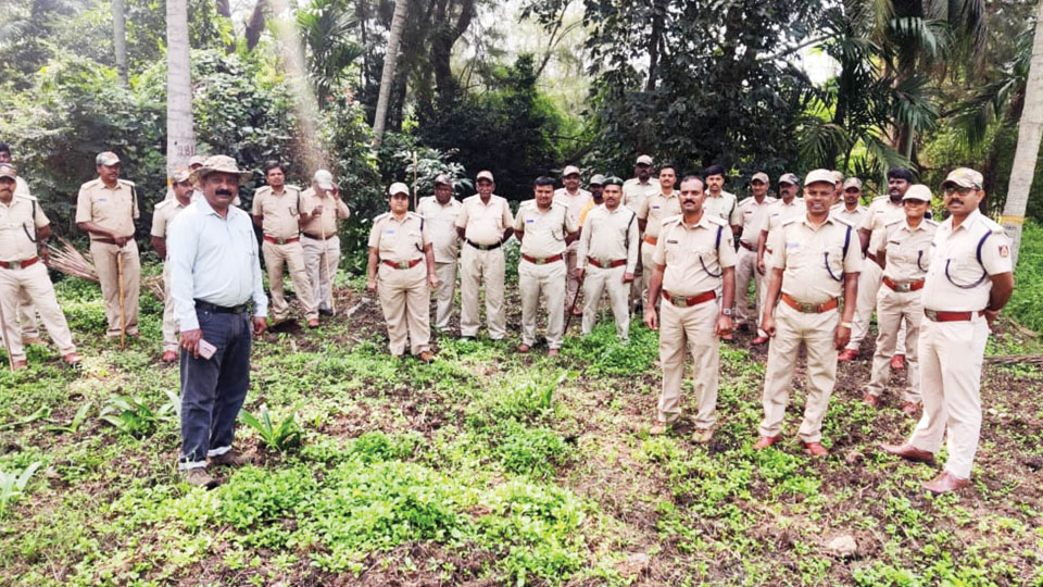 Leopard scare: Over 50 Forest staff conduct combing operation at KRS