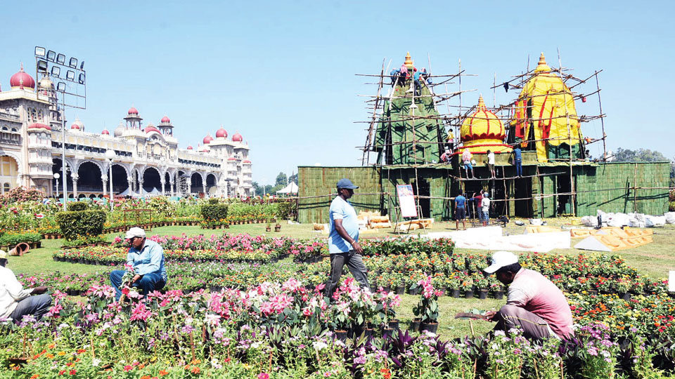 Flower Show at Mysore Palace from tomorrow