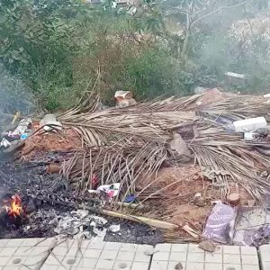 Burning of fallen leaves, waste going on unabated