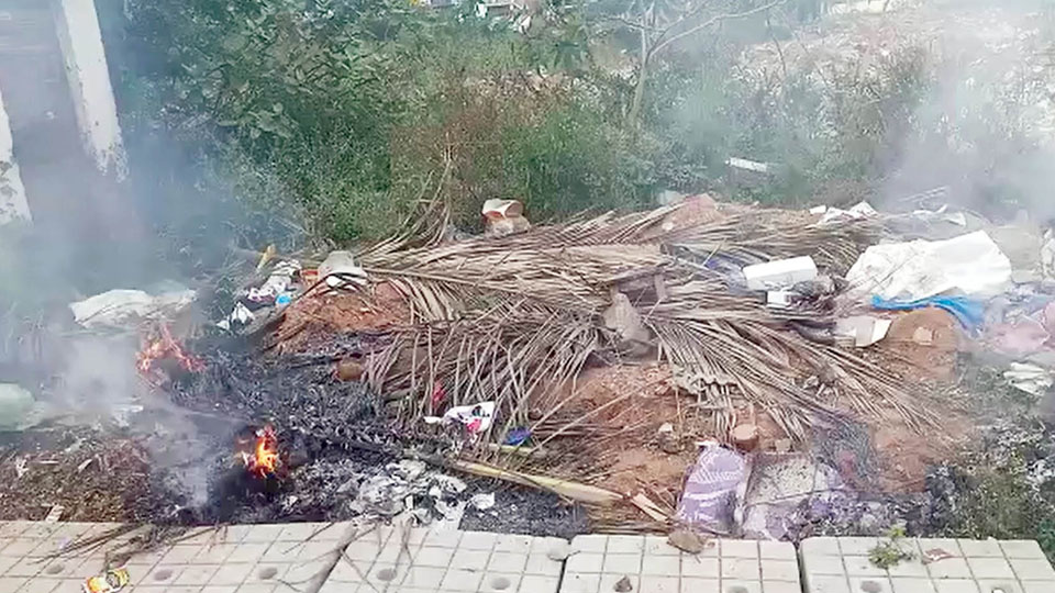 Burning of fallen leaves, waste going on unabated