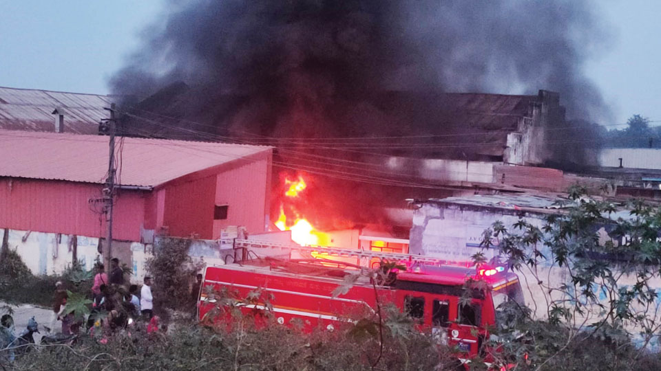 Godowns stored with plastics and chemicals gutted in fire