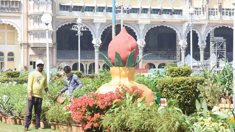 Two-time sanitisation of Flower Show venue daily