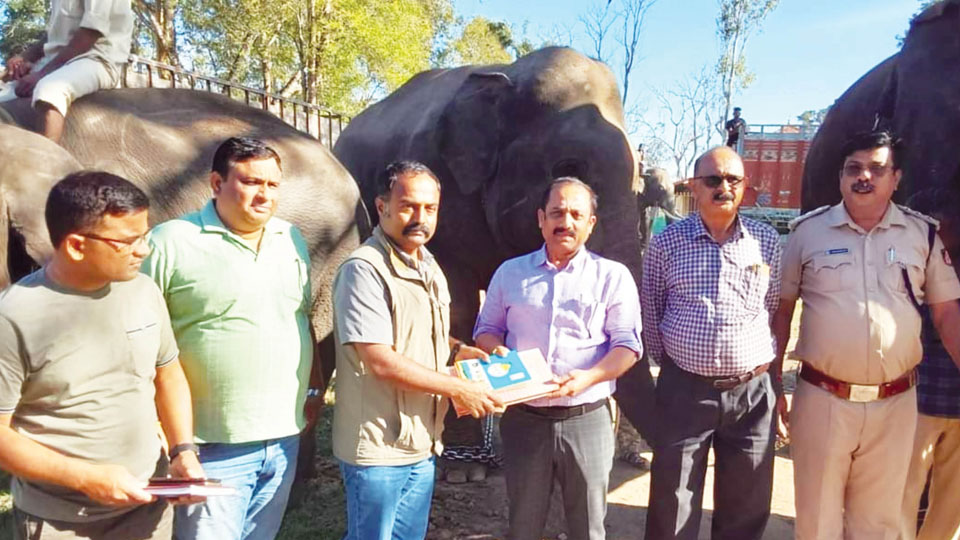 Karnataka shifts 13 elephants in batches to Madhya Pradesh