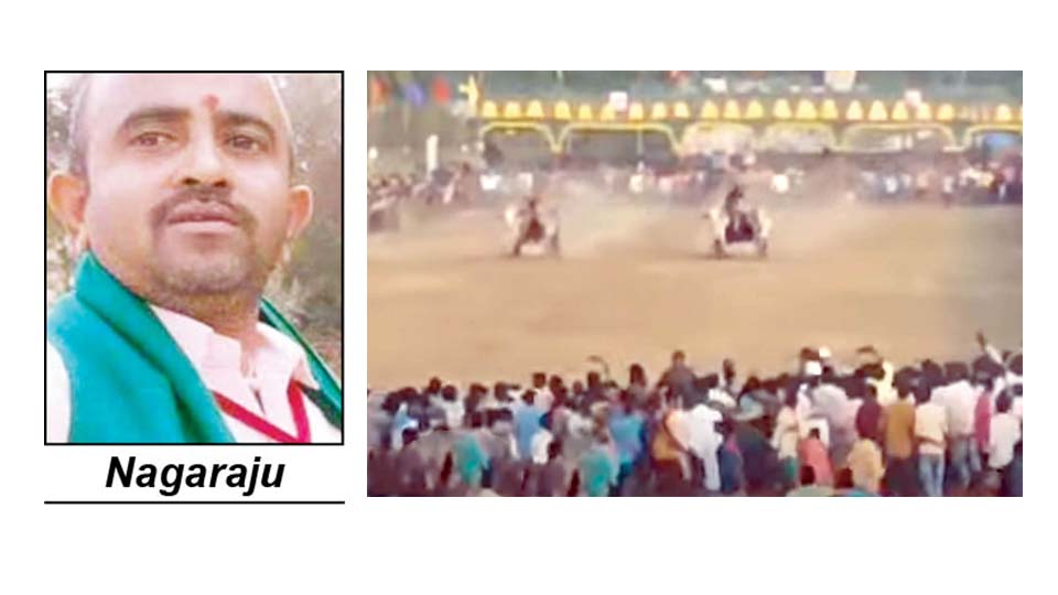 Bullock cart race competition claims farmer’s life at Chikkamandya