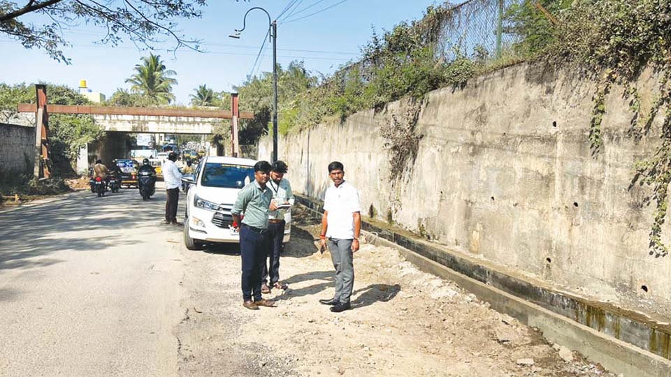 Mayor inspects road works