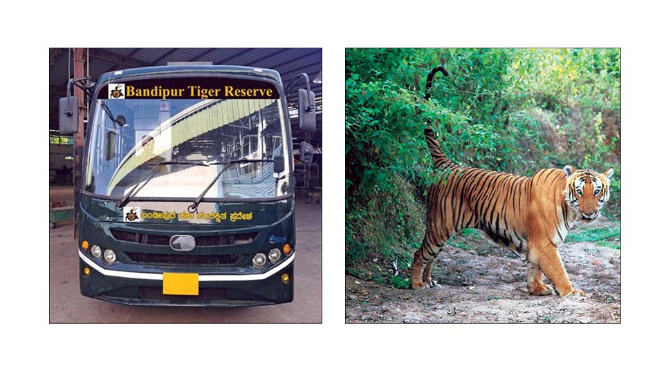 ‘Yuva Mithra’ offers free safari at Bandipur for school children