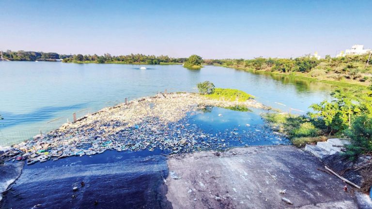 Sewage chokes Hebbal Lake - Star of Mysore