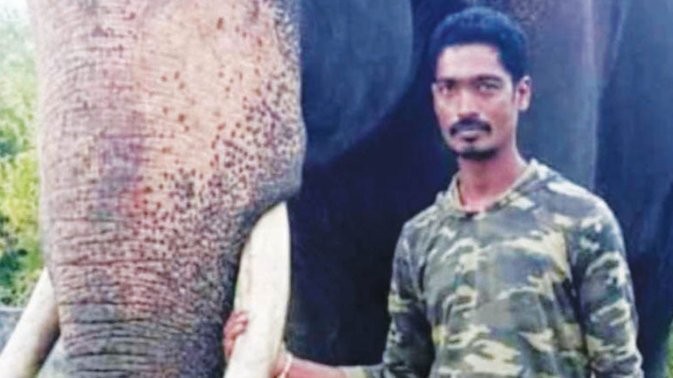 Forest Watcher killed in wild jumbo attack
