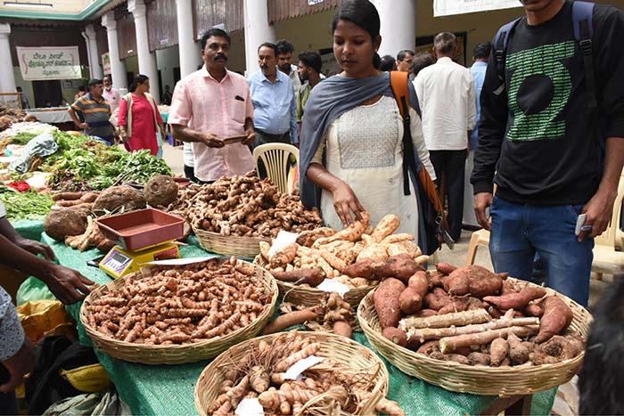Two-day Roots and Tuber Mela begins in city