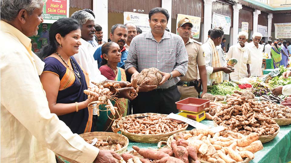 Two-day Roots and Tuber Mela begins in city