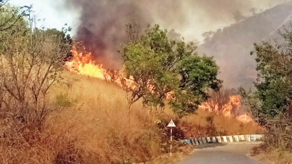 Fire destroys vegetation at Karighatta in Srirangapatna