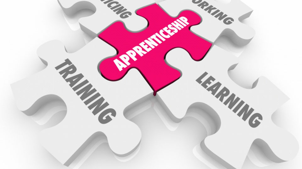 Awareness programme on Apprenticeship Schemes