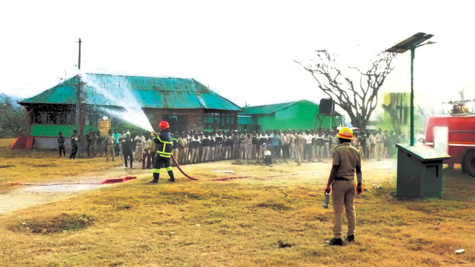 Fire precaution workshop and training for Forest staff held