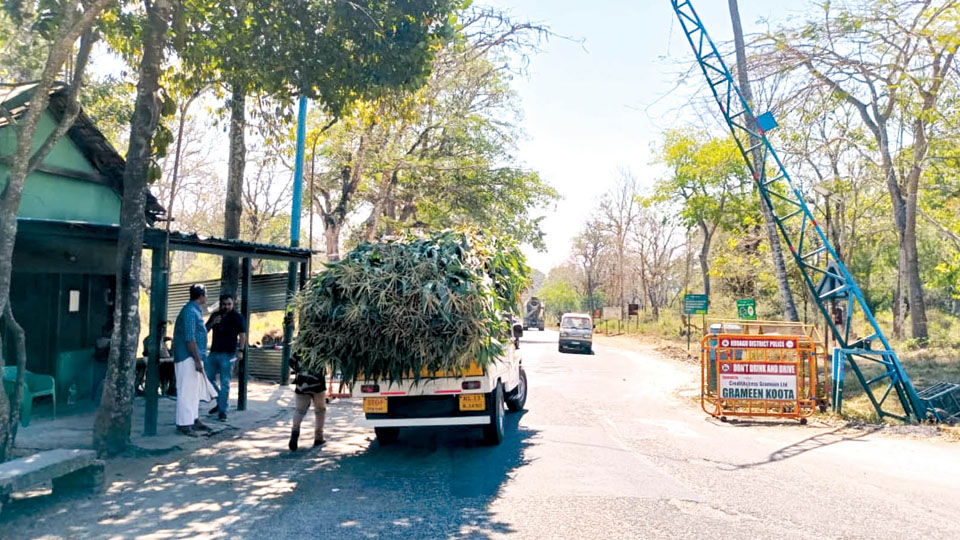 Non-Karnataka vehicles entering Nagarahole to pay a cleaning fee